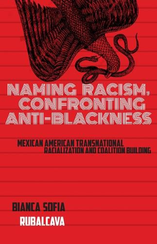 Cover image for Naming Racism, Confronting Anti-Blackness
