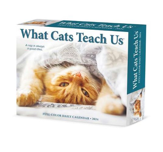 Cover image for What Cats Teach Us 2024 6.2 X 5.4 Box Calendar