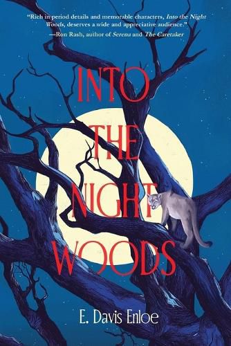 Cover image for Into the Night Woods