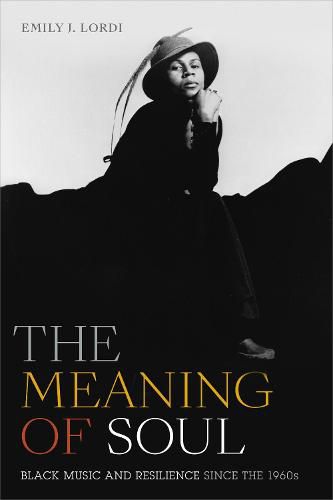 Cover image for The Meaning of Soul: Black Music and Resilience since the 1960s