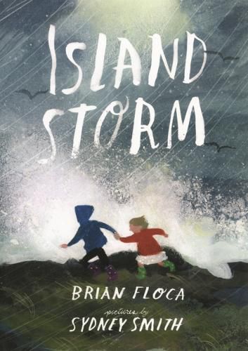 Cover image for Island Storm