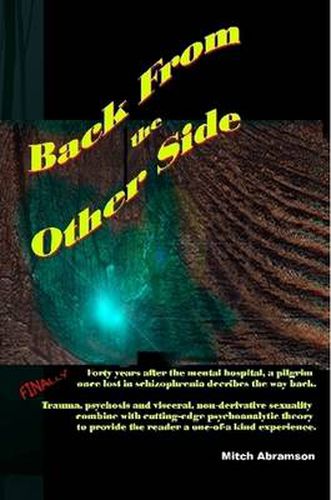 Cover image for Back from the Other Side