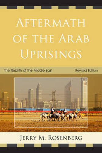 Cover image for Aftermath of the Arab Uprisings: The Rebirth of the Middle East