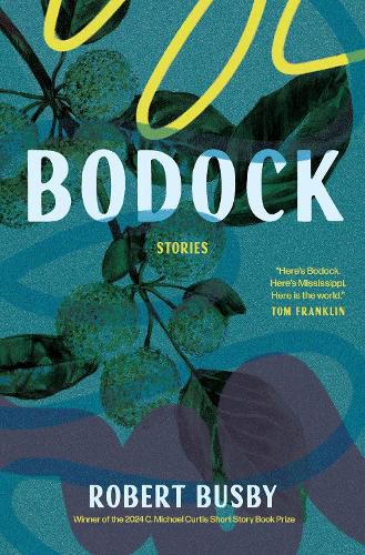 Cover image for Bodock: Stories