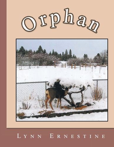 Cover image for Orphan