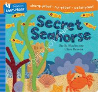 Cover image for Secret Seahorse