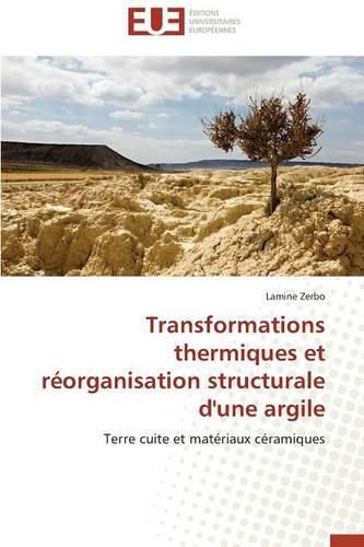 Cover image for Transformations Thermiques Et R organisation Structurale d'Une Argile