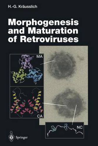 Cover image for Morphogenesis and Maturation of Retroviruses