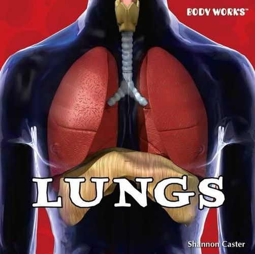 Cover image for Lungs