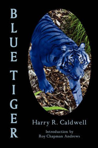 Cover image for Blue Tiger