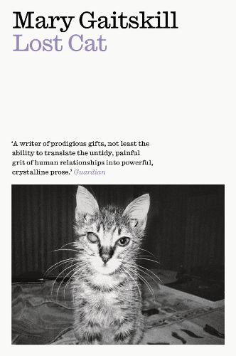 Cover image for Lost Cat