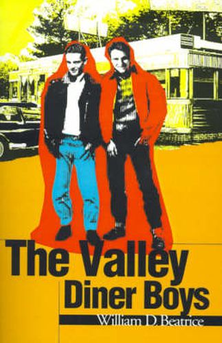 Cover image for The Valley Diner Boys