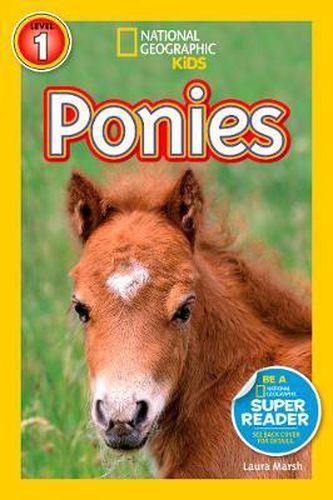 Cover image for National Geographic Kids Readers: Ponies