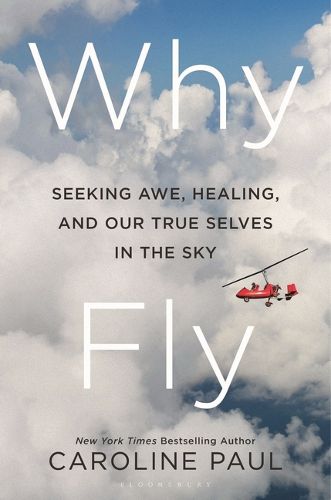 Cover image for Why Fly