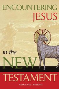 Cover image for Encountering Jesus in the New Testament