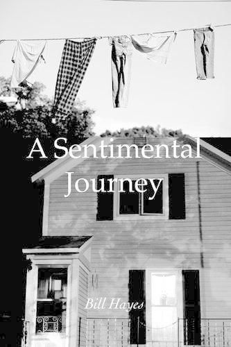 Cover image for A Sentimental Journey