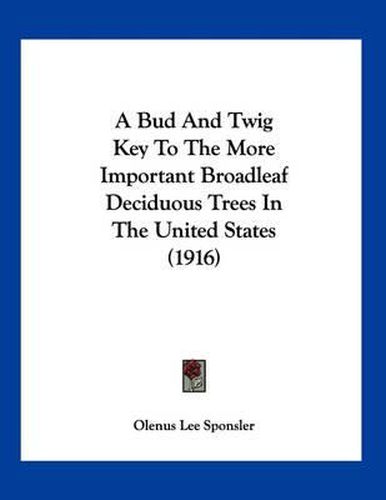 Cover image for A Bud and Twig Key to the More Important Broadleaf Deciduous Trees in the United States (1916)