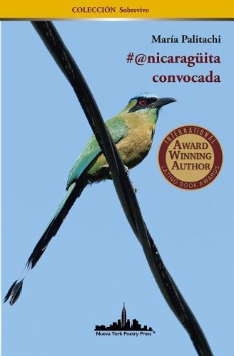 Cover image for #@nicaraguita convocada