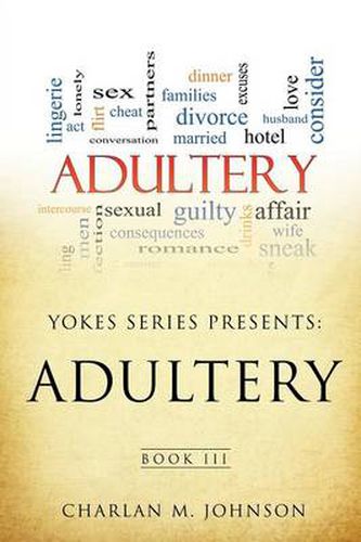 Cover image for Yokes Series Presents: Adultry Book III