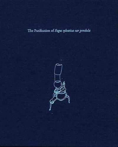 Cover image for The Purification of Fagus Sylvatica Var Pendula