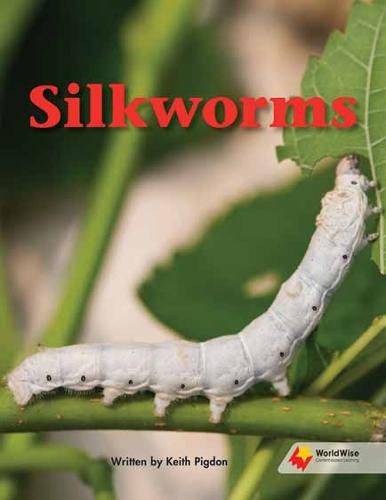 Cover image for Silkworms