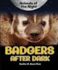 Cover image for Badgers After Dark