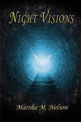 Cover image for Night Visions