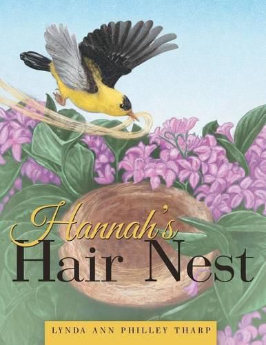 Cover image for Hannah's Hair Nest