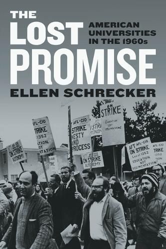 Cover image for The Lost Promise