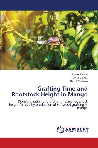 Cover image for Grafting Time and Rootstock Height in Mango