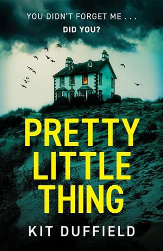 Cover image for Pretty Little Thing