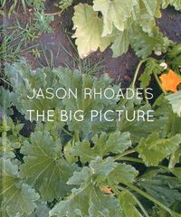 Cover image for Jason Rhoades: The Big Picture