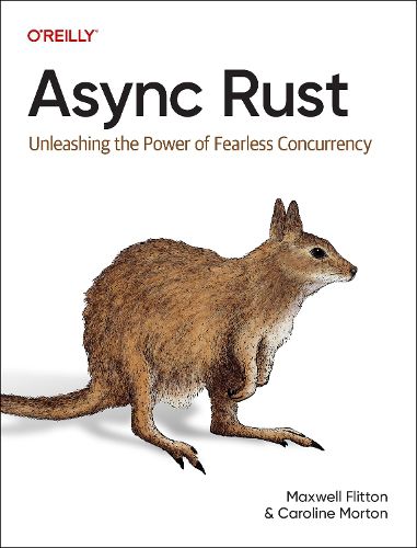 Cover image for Async Rust