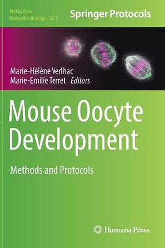 Cover image for Mouse Oocyte Development: Methods and Protocols