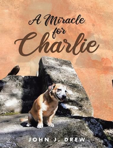 Cover image for A Miracle for Charlie