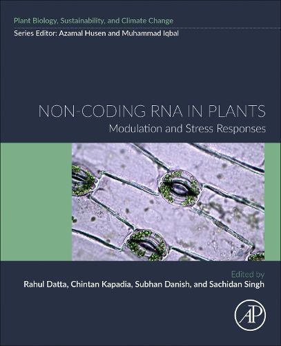 Cover image for Non-coding RNA in Plants