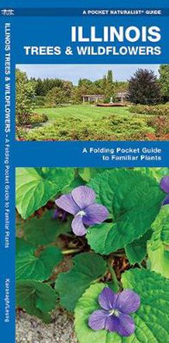 Cover image for Illinois Trees & Wildflowers: A Folding Pocket Guide to Familiar Species