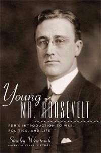 Cover image for Young Mr. Roosevelt: FDR's Introduction to War, Politics, and Life