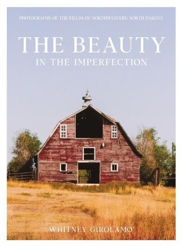 Cover image for The Beauty in the Imperfection