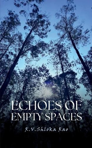 Cover image for Echoes Of Empty Spaces