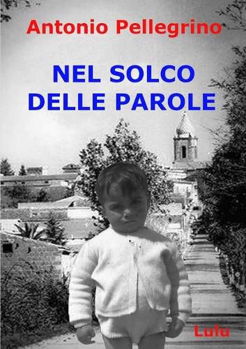 Cover image for NEL SOLCO DELLE PAROLE