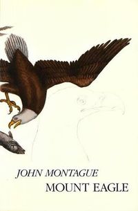 Cover image for Mount Eagle