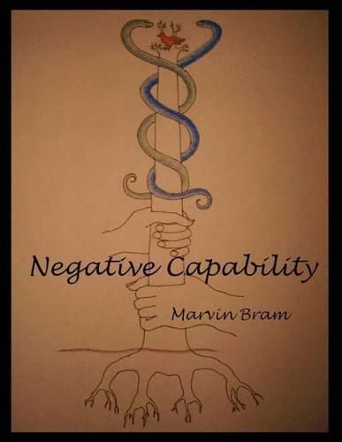 Cover image for Negative Capability