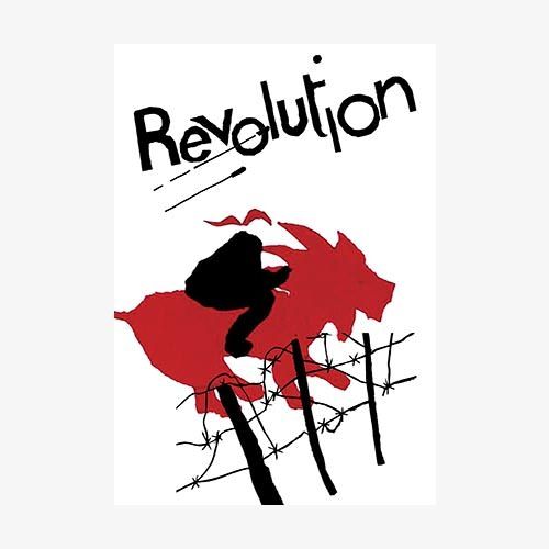 Cover image for Revolution