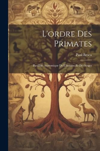 Cover image for L'ordre Des Primates