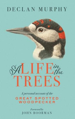 Cover image for A Life In The Trees: A Personal Account of the Great Spotted Woodpecker