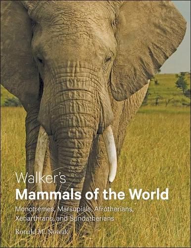 Cover image for Walker's Mammals of the World: Monotremes, Marsupials, Afrotherians, Xenarthrans, and Sundatherians