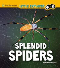 Cover image for Splendid Spiders