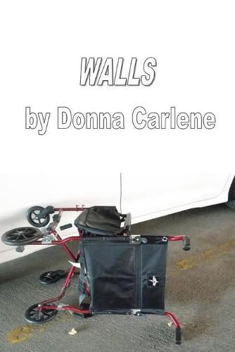 Cover image for Walls