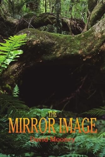 Cover image for The Mirror Image